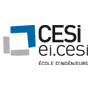 ecole ingenieur